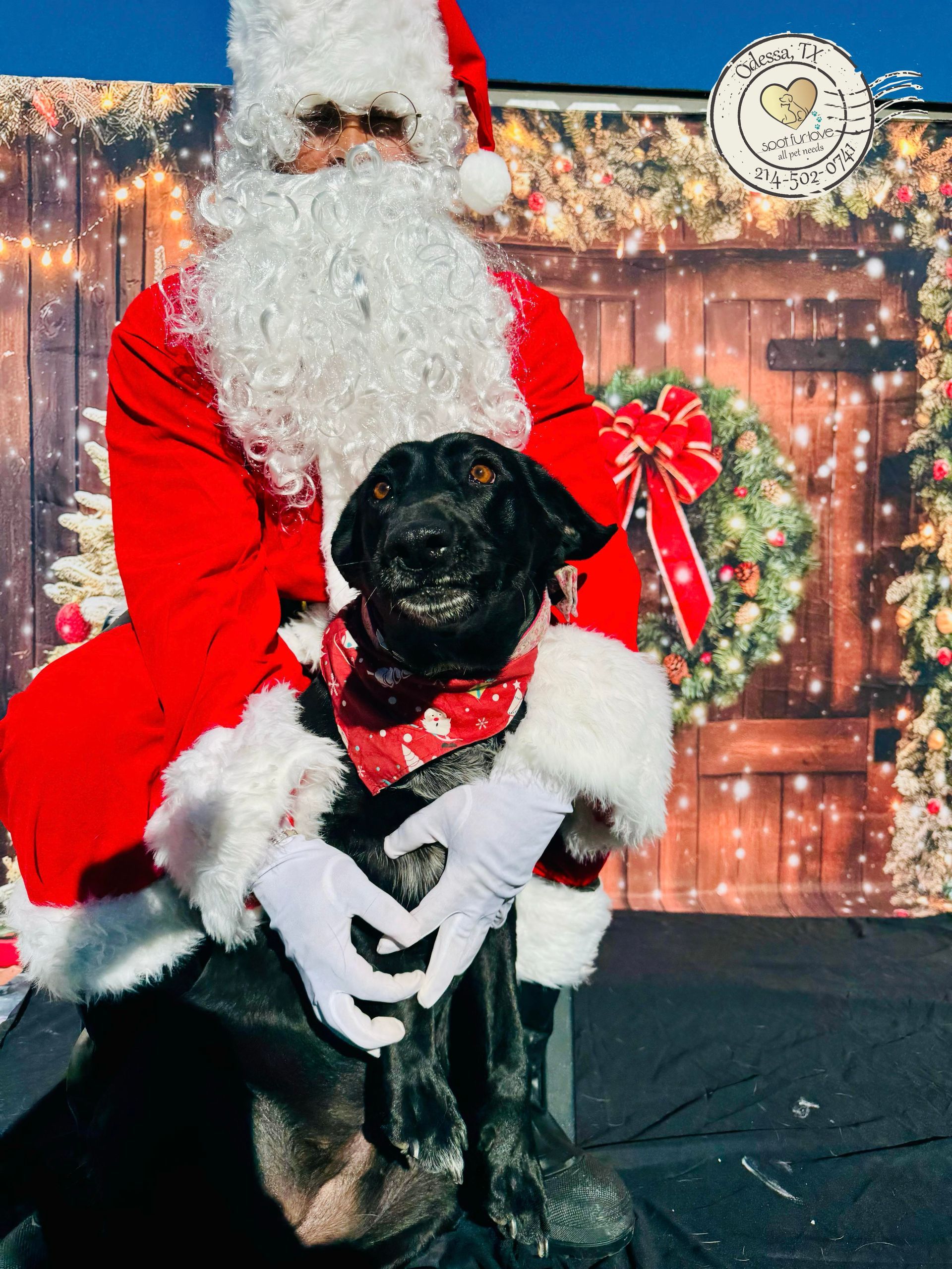 Santa Claus sits with a black dog wearing a red bandana; festive backdrop.