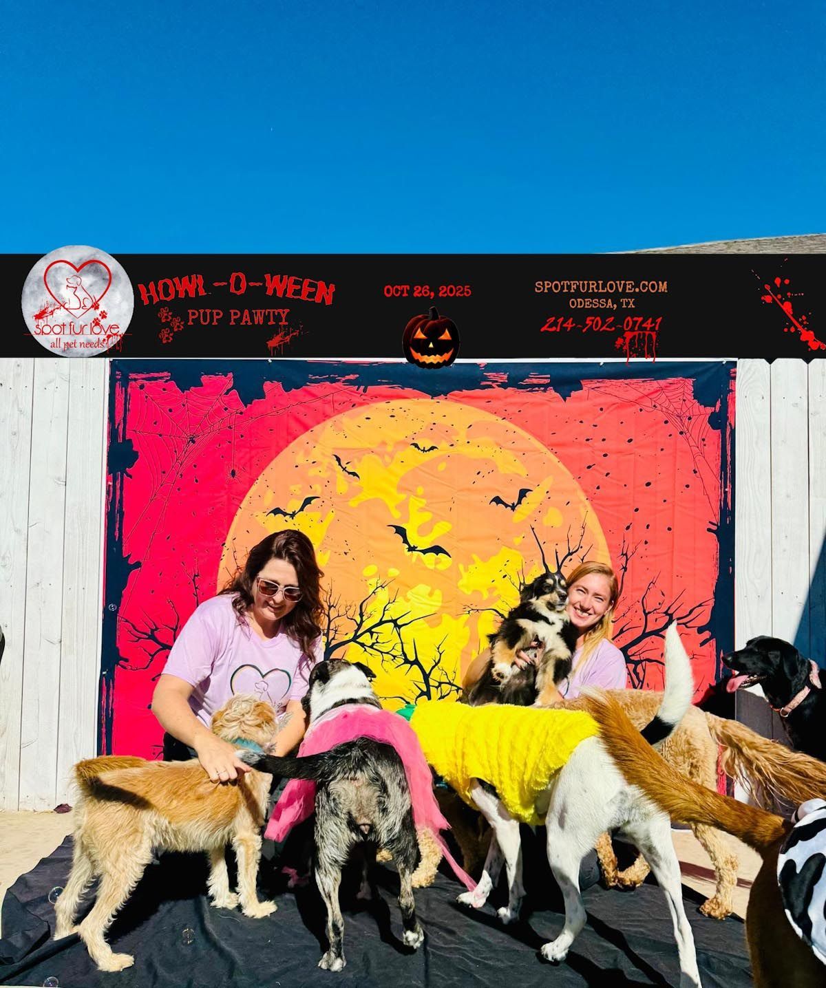 Two women with several dogs in costumes posing in front of a Halloween backdrop.