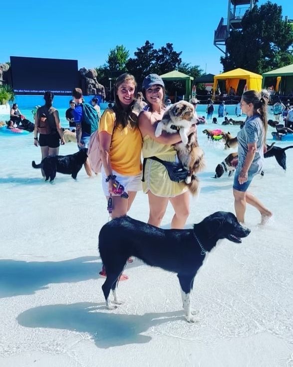 People and dogs enjoying a pool. Two women pose with dogs, others swim. Sunny day.