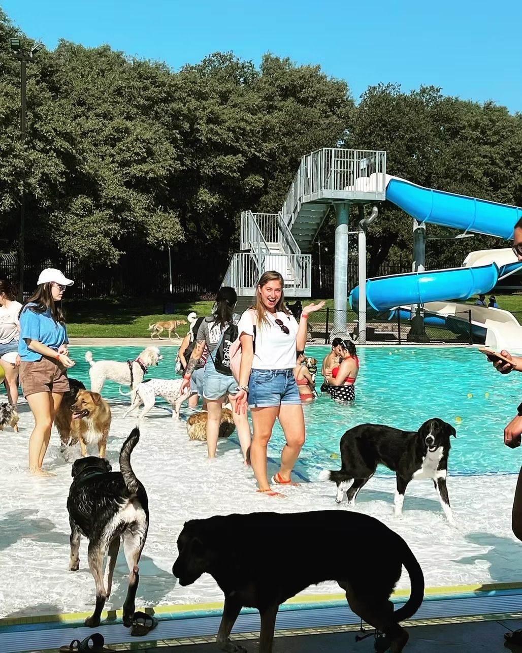 Dogs and people in a pool. Woman gestures towards dogs playing. Blue slide, trees, and sunny sky in the background.