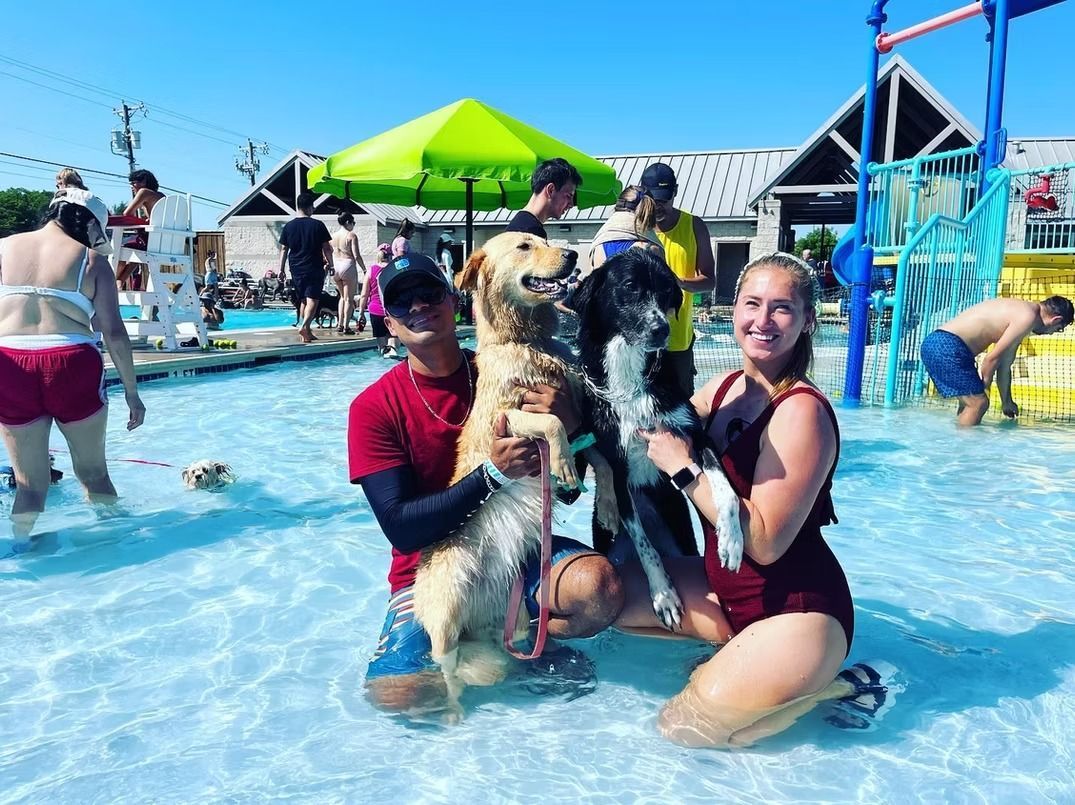 Two people in a pool hold two wet dogs. A bright green umbrella and other people are in the background.