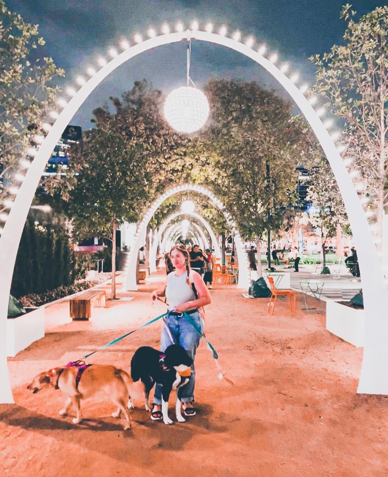 Woman walking two dogs under glowing archway. Urban park setting at night.