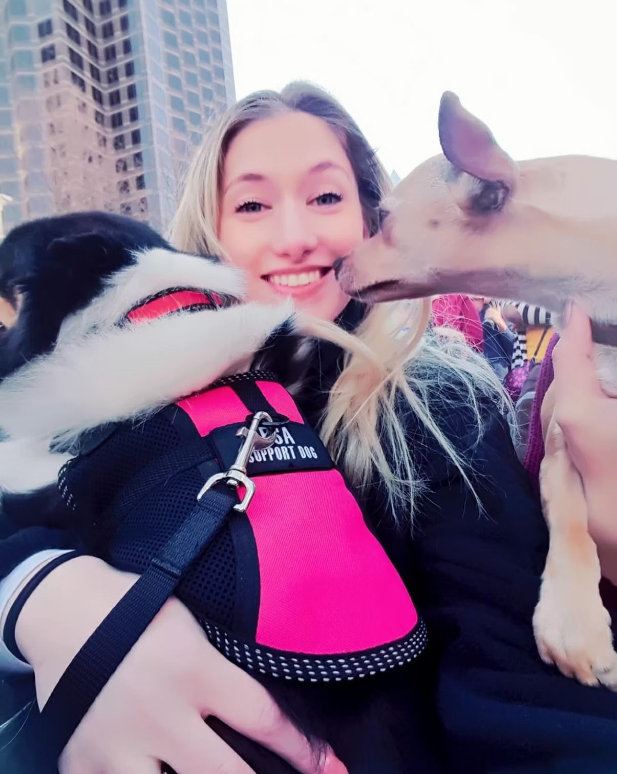 Woman smiling, holding two dogs. One in a pink vest, other licking her cheek. Outdoors, cityscape.
