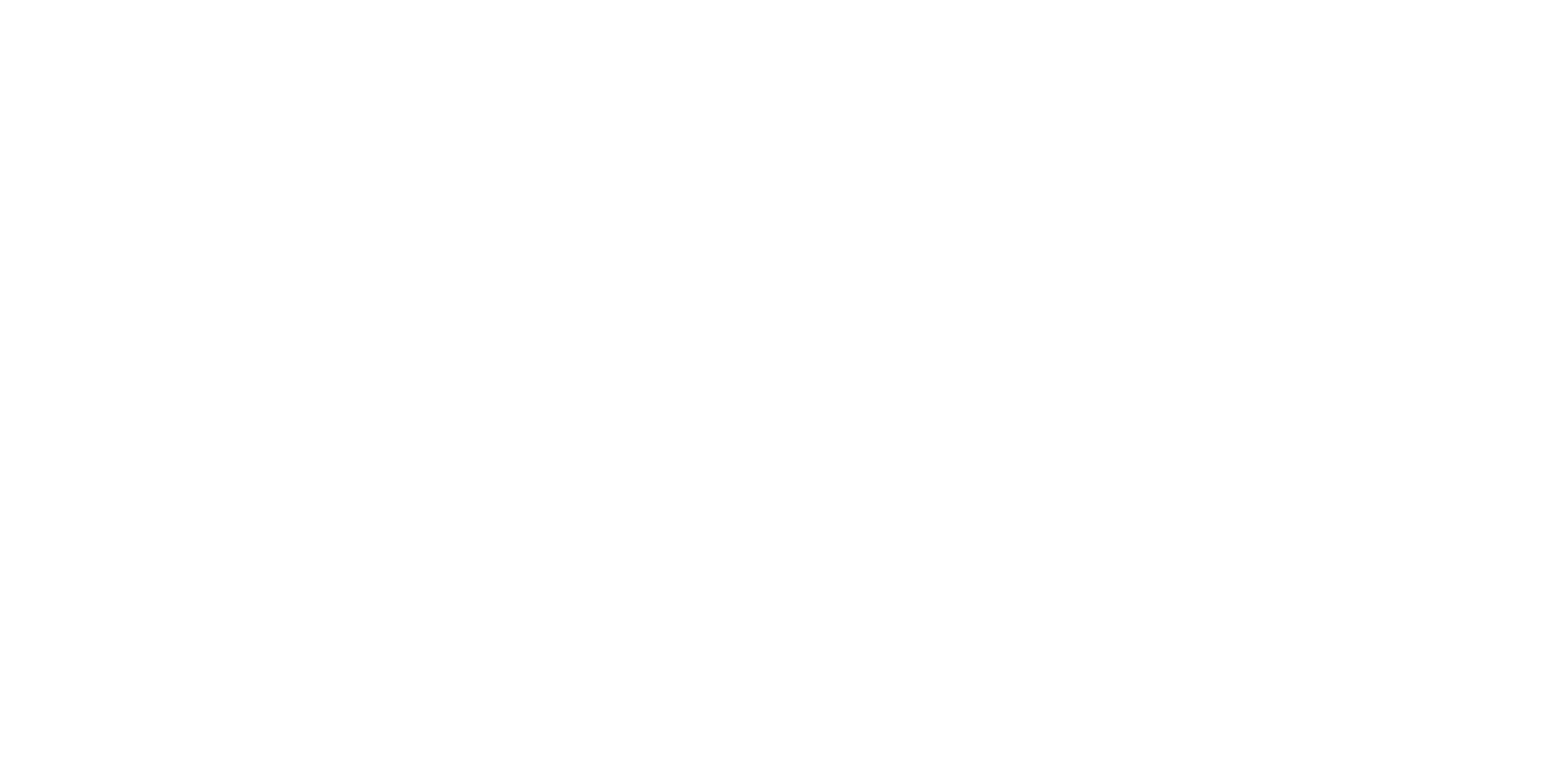 Black Bird logo with black bird silhouette and the tagline “WHERE STANDARDS SOAR”