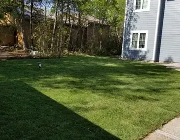 lawn care, landscaping design and outdoor space maintenance