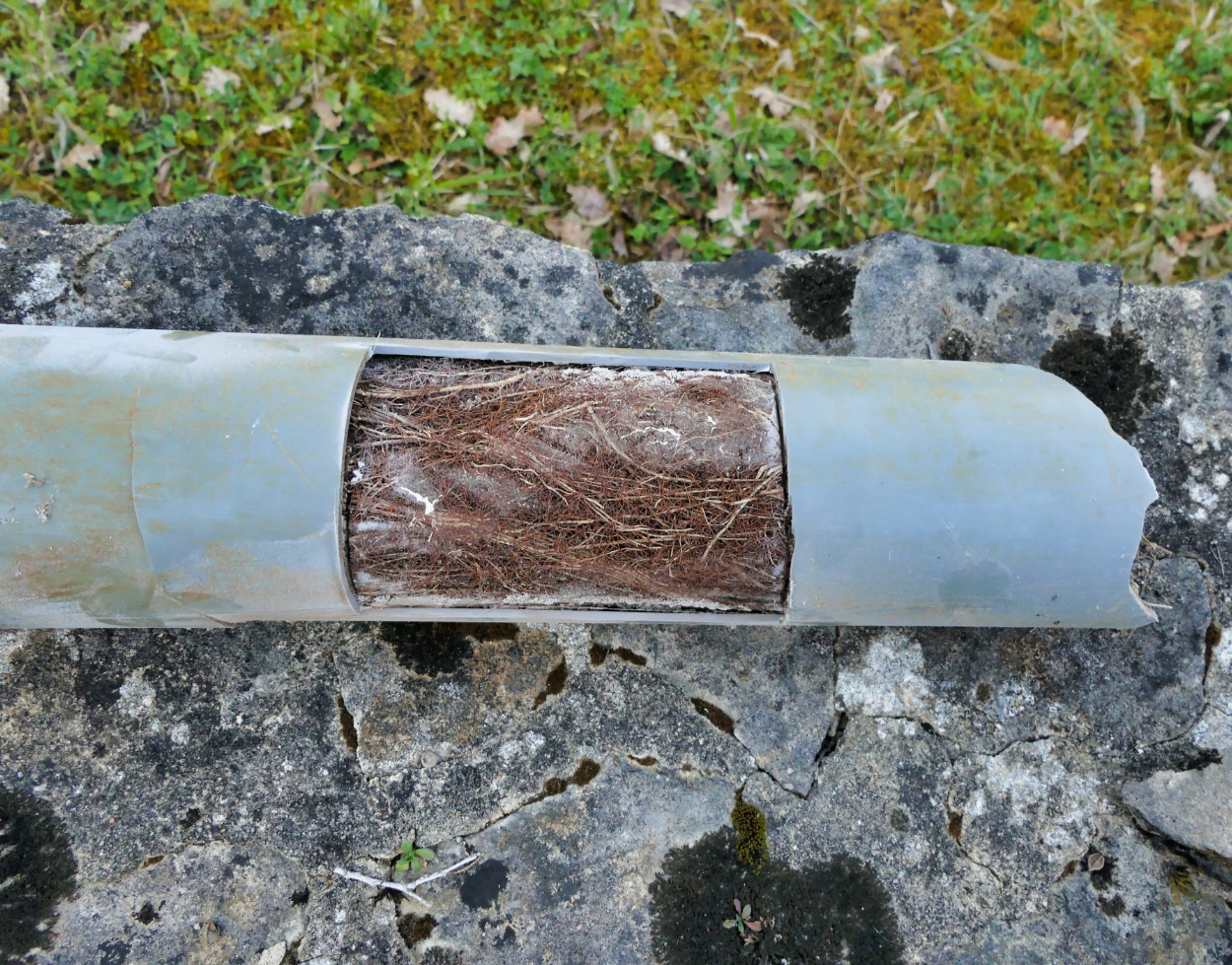 clogged pipe causing backup and flooding