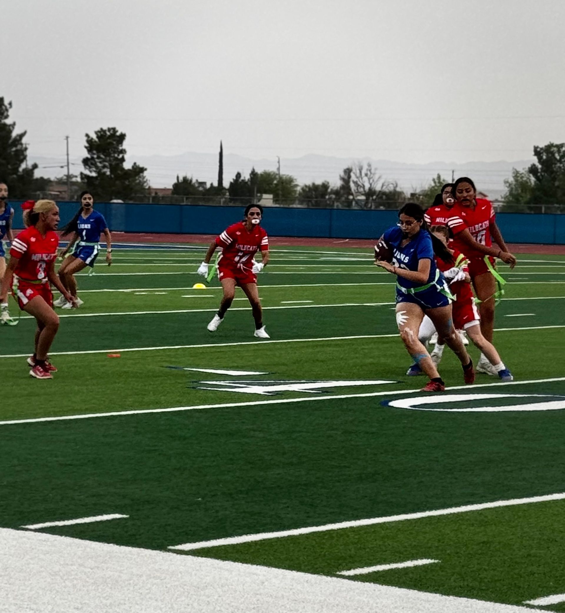 A group of people are playing a game of lacrosse on a field