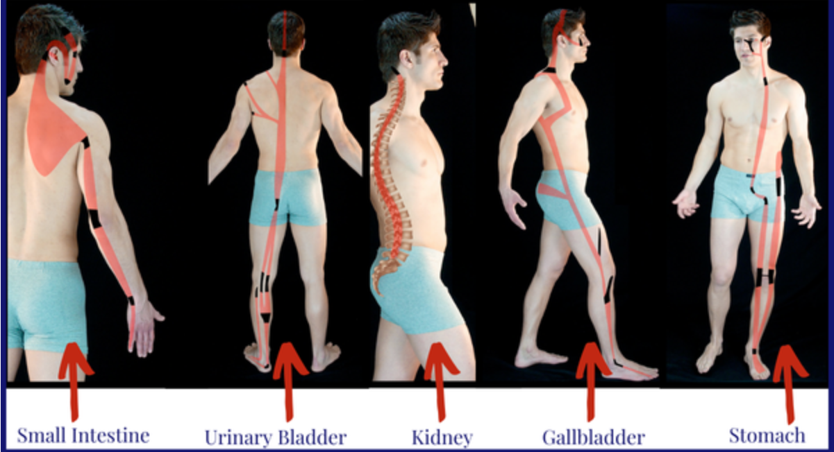 A picture of a man with arrows pointing to different parts of his body