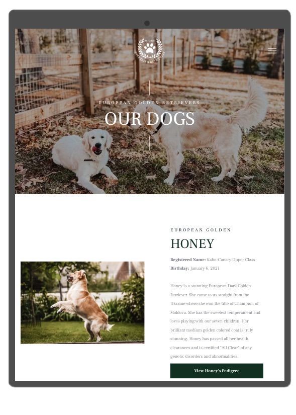 Our Mobile-Optimized Websites Feature Beautiful Graphics and Photography