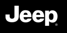 Wordmark logo example