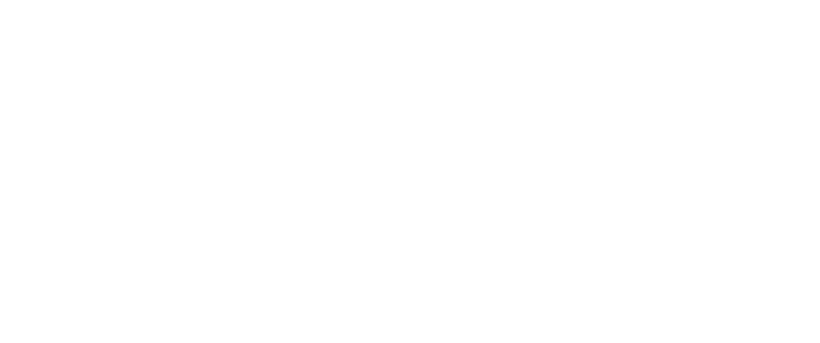 Mostly blank white image with a thin black line near the lower left edge.
