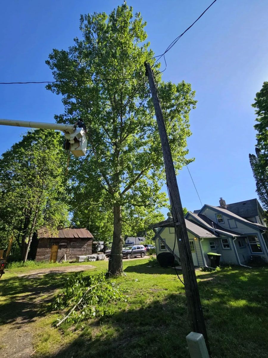 A man in a bucket is cutting a tree in front of a house.