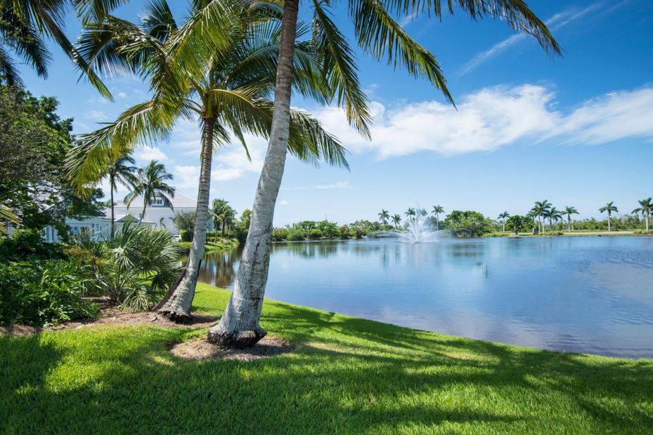 Palm trees beside a calm blue lagoon under a bright sky, with lush green grass in the foreground