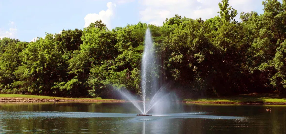 Fountain spraying in a calm pond with a lush green tree line in the background