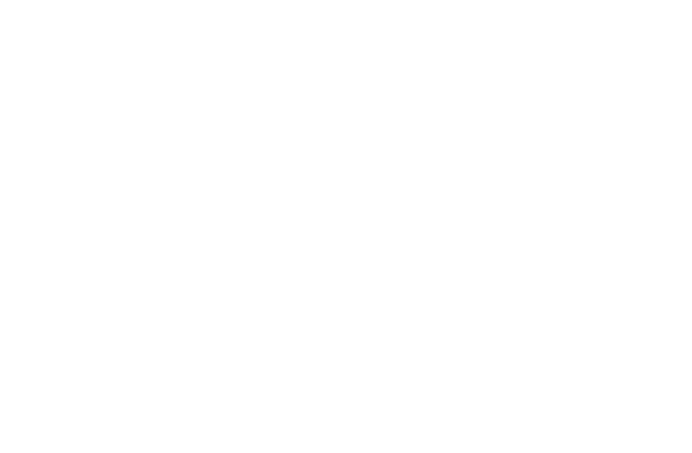 Paradise Wild Wave Rentals Logo