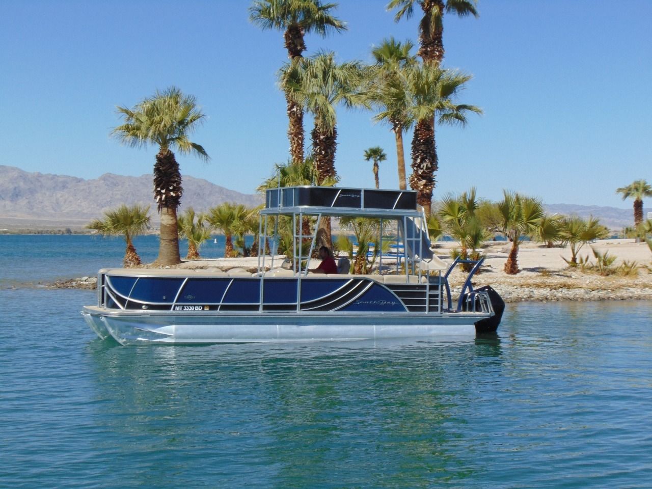Pontoon boat on blue water near palm trees and desert shore under a clear sky
