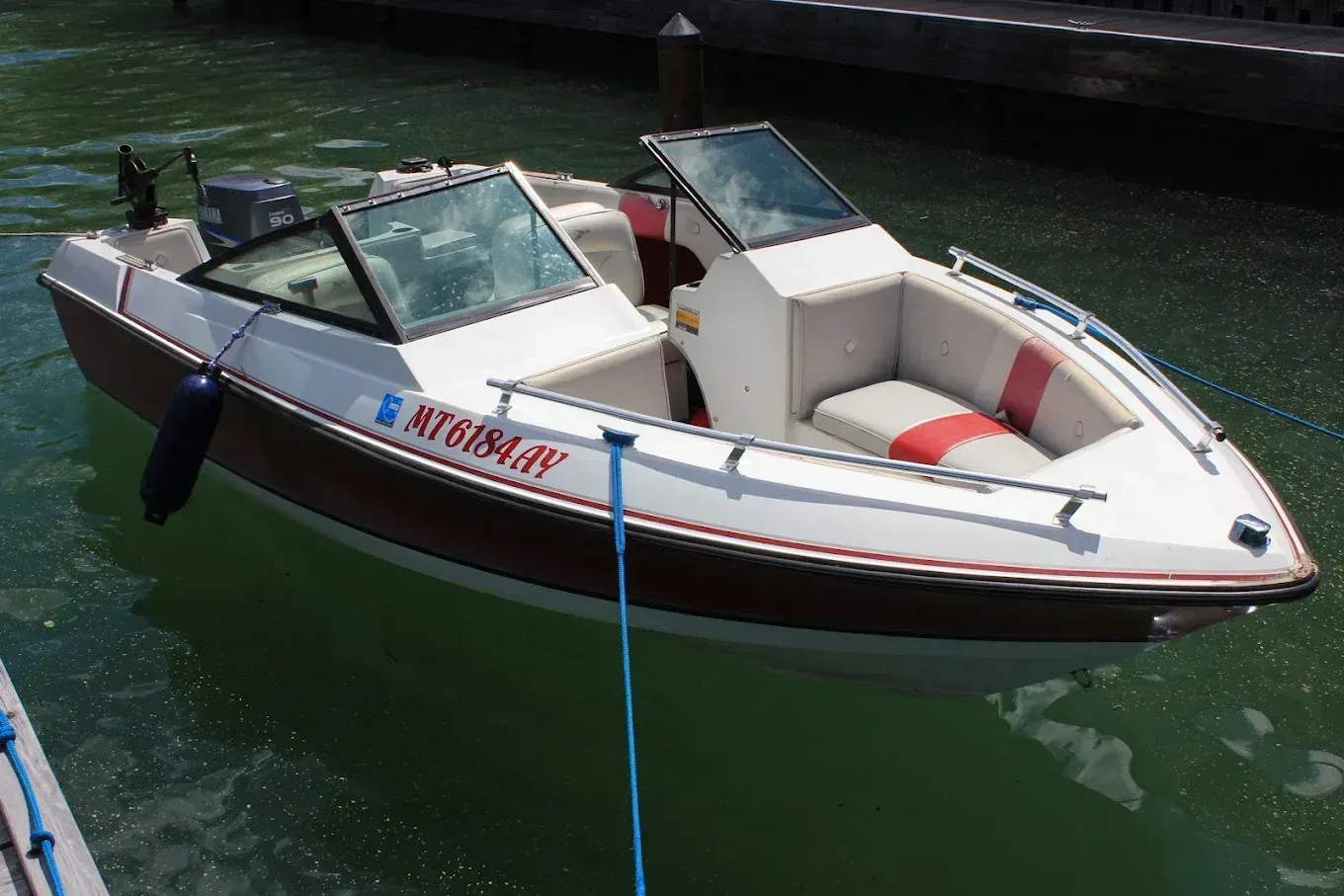 White speedboat floating on green water, with blue rope and red trim, viewed from the side.