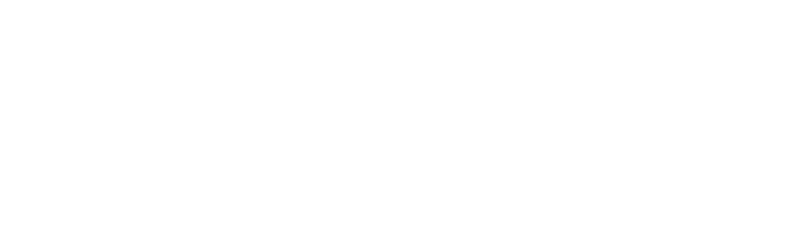 Digicar
