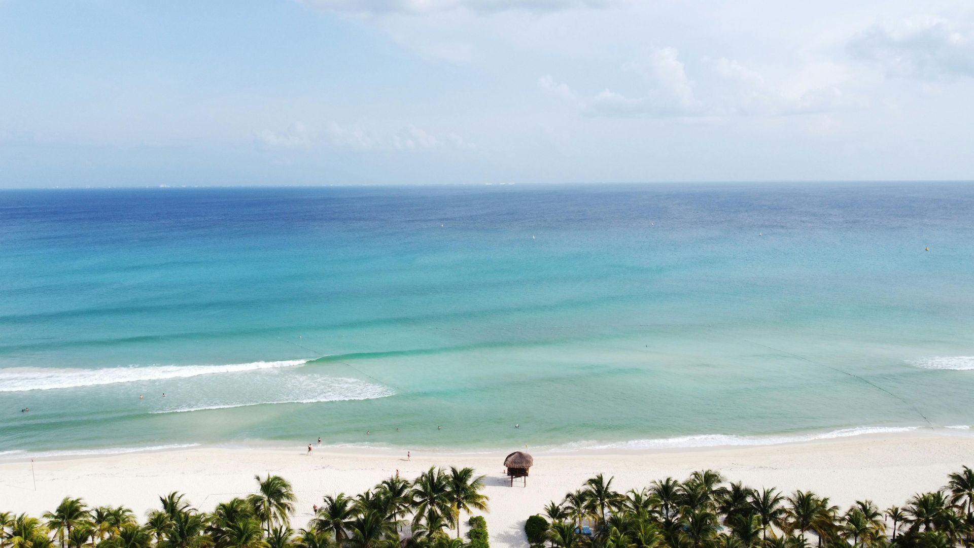 Playa tropical con océano turquesa, olas suaves y palmeras a lo largo de la orilla.