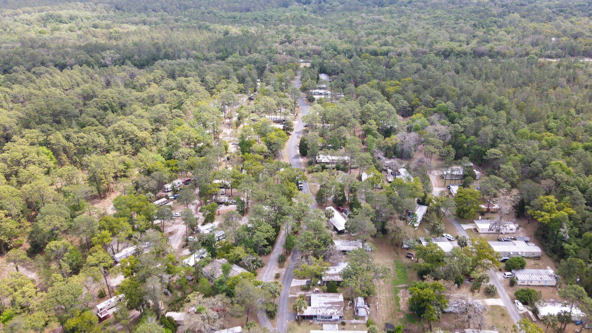 Village Pines