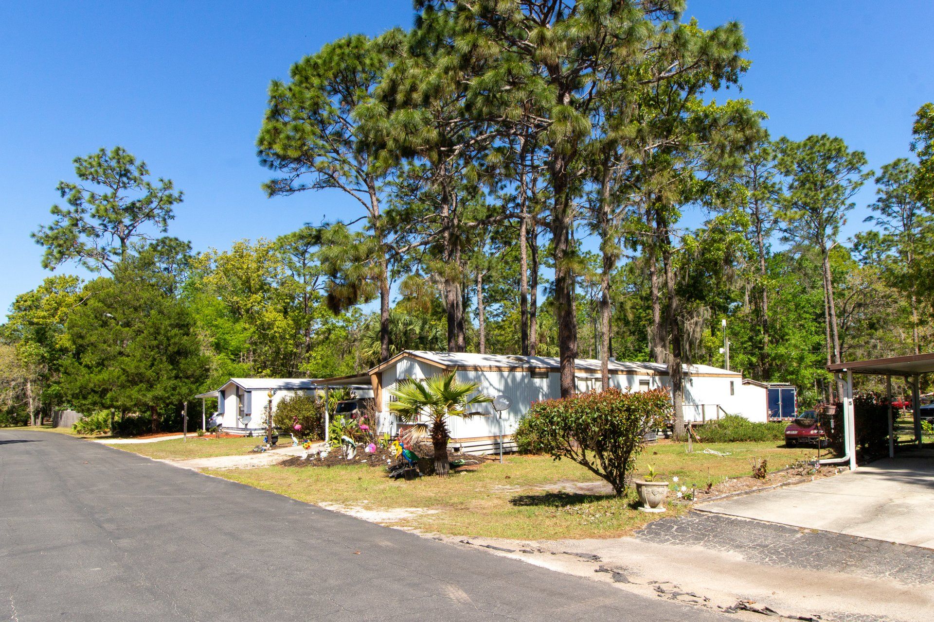 Village Pines