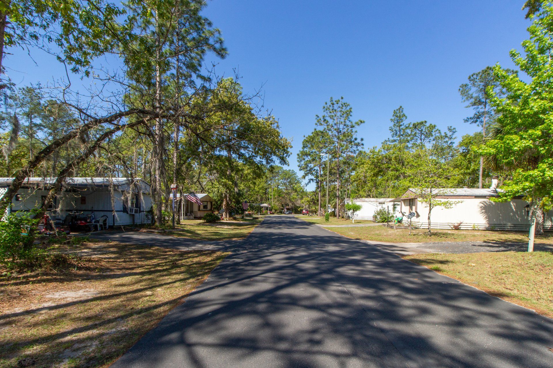 Village Pines