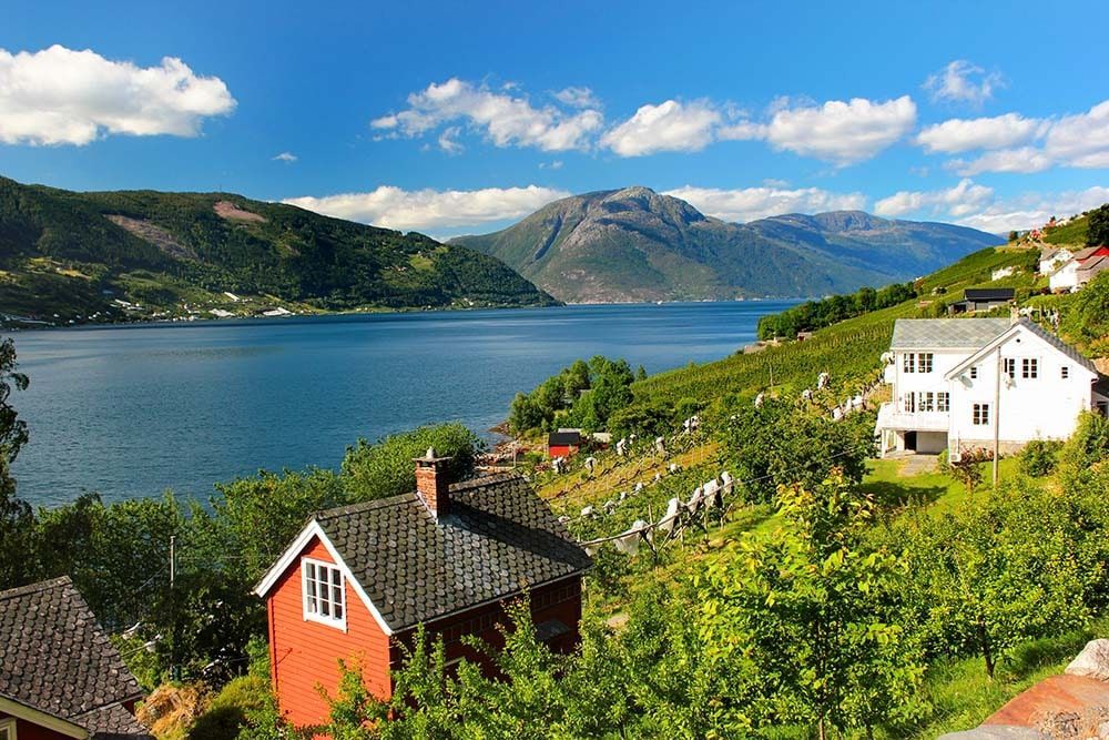 day trips from oslo to fjords