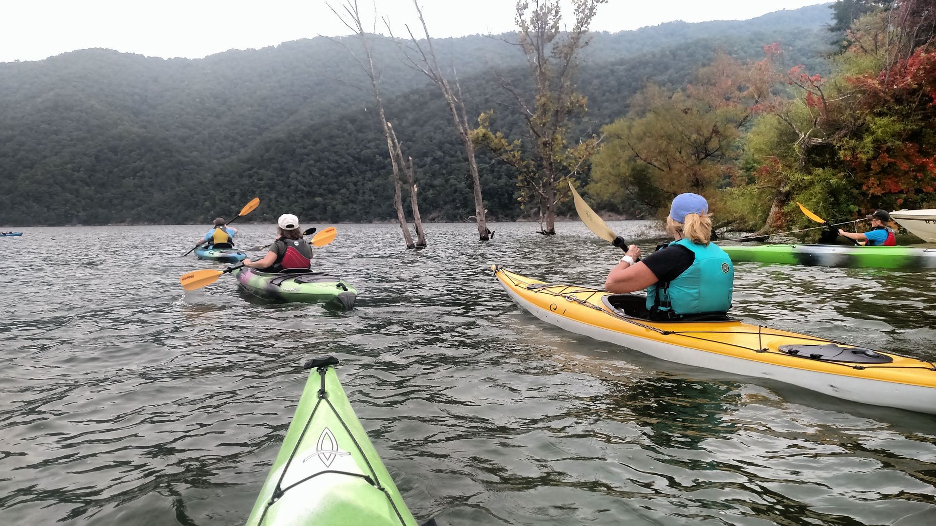 A group of people are paddling kayaks on a lake.