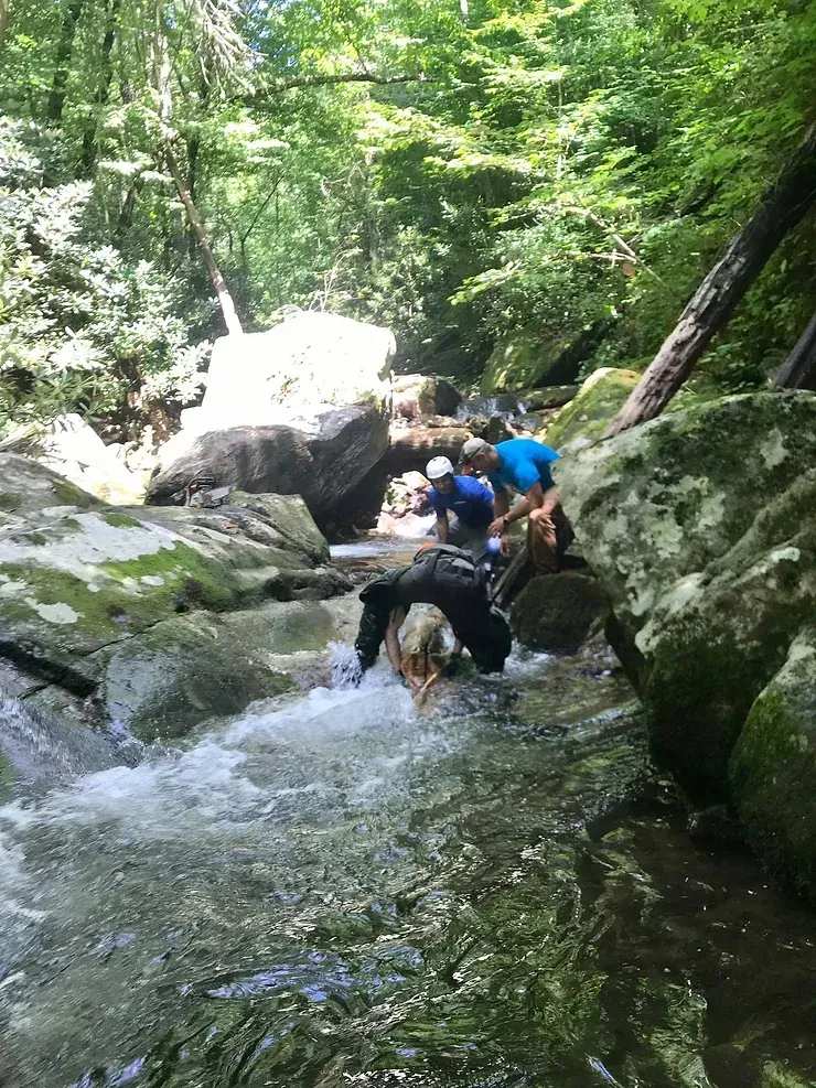 A group of people are climbing a waterfall in the woods.
