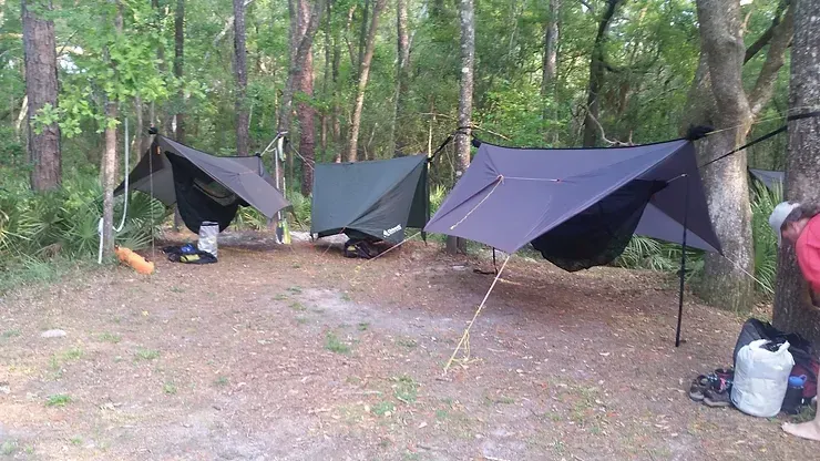 Three tents are hanging from trees in the woods.