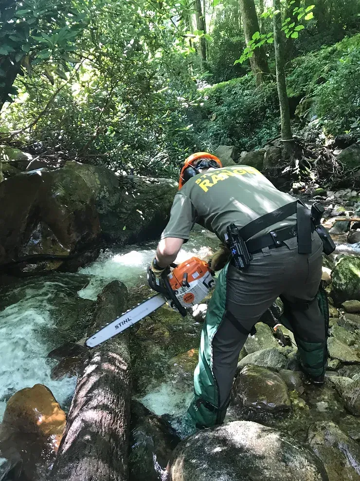A man is cutting a log with a chainsaw in the woods.