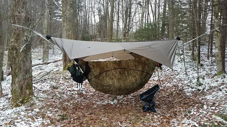 A hammock is hanging from a tree in the woods.