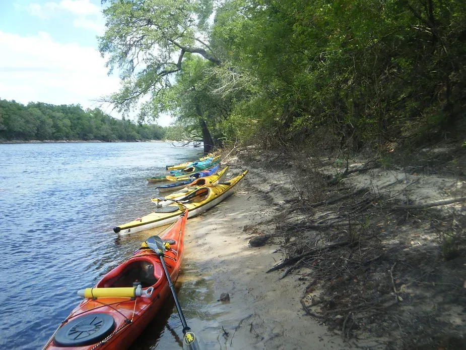 A row of kayaks are lined up on the shore of a river