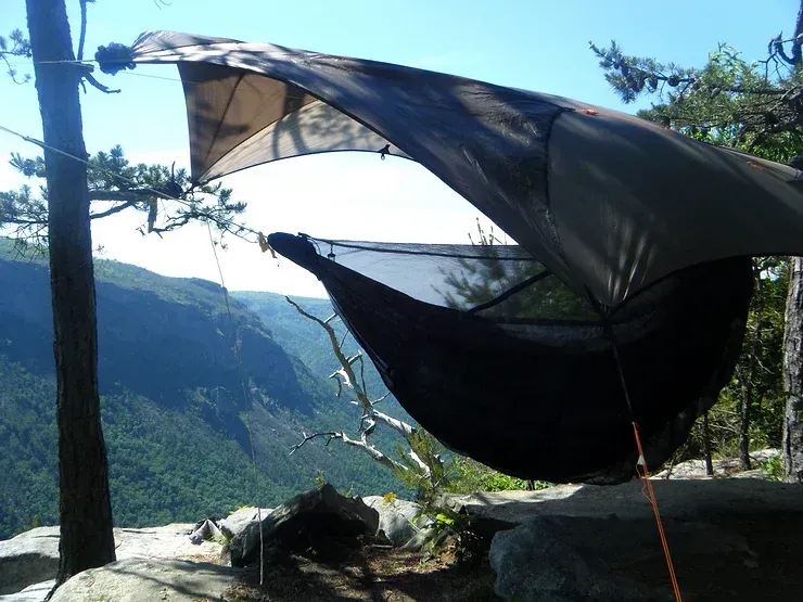 A hammock is hanging from a tree with mountains in the background