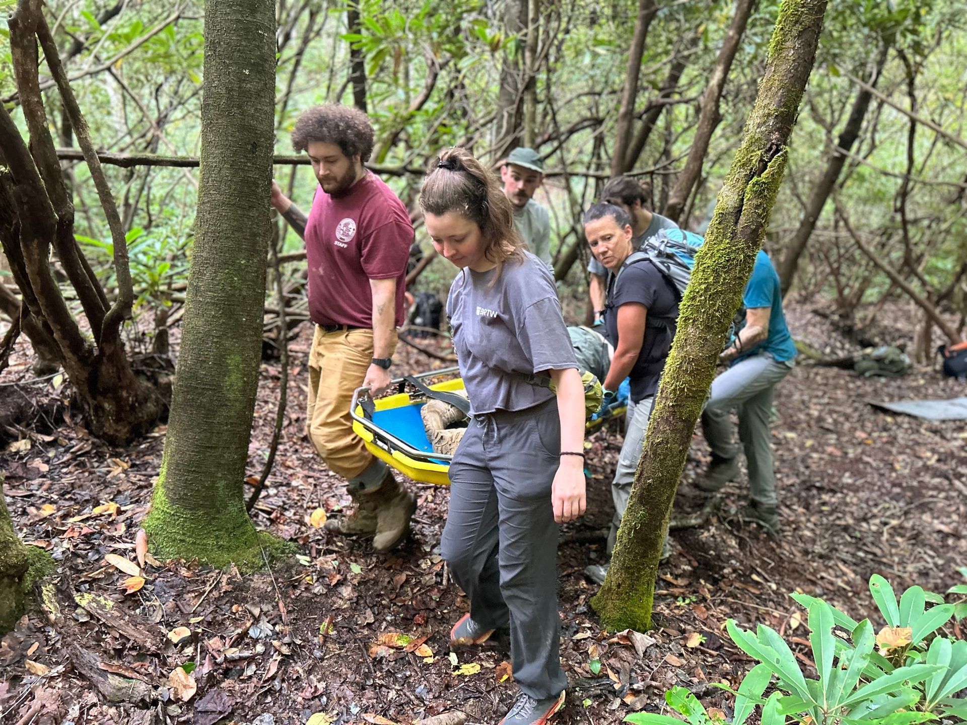 A group of people are carrying a person on a stretcher through a forest.