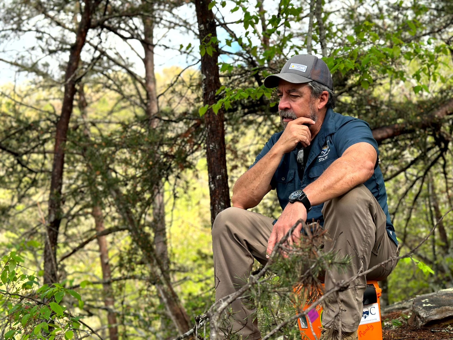 A man is sitting on a tree branch in the woods.