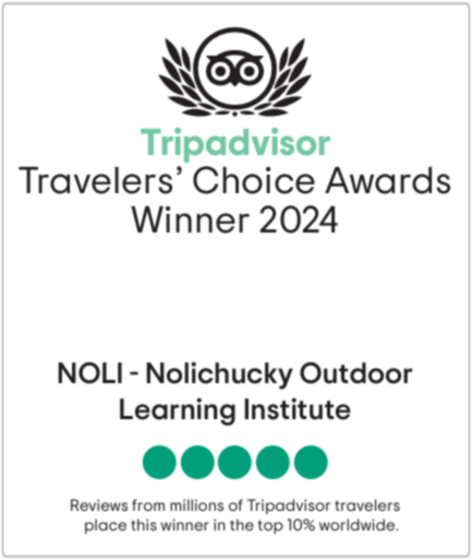 trip advisor logo