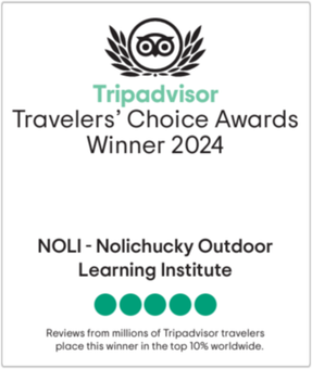 trip advisor logo