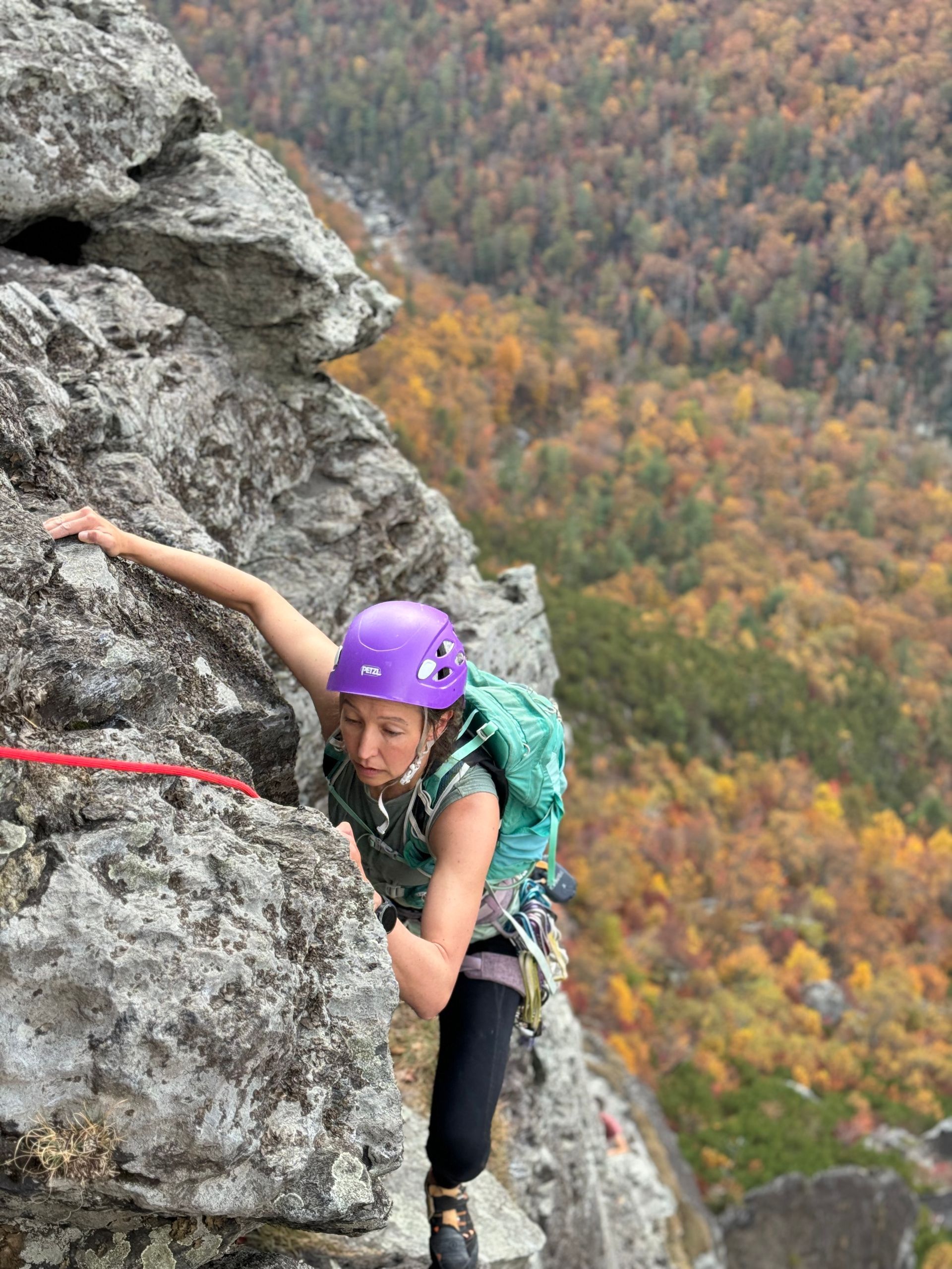 A woman in a purple helmet is climbing up a rocky cliff.