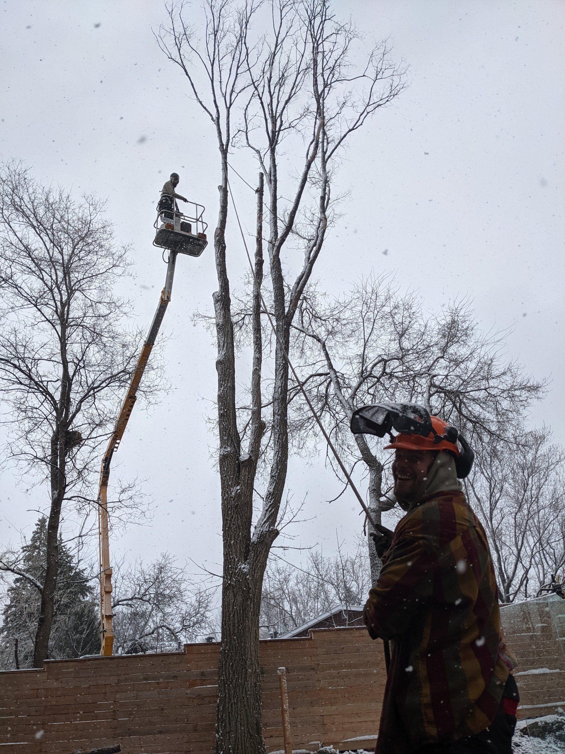 Un homme coupe un arbre avec une tronçonneuse.
