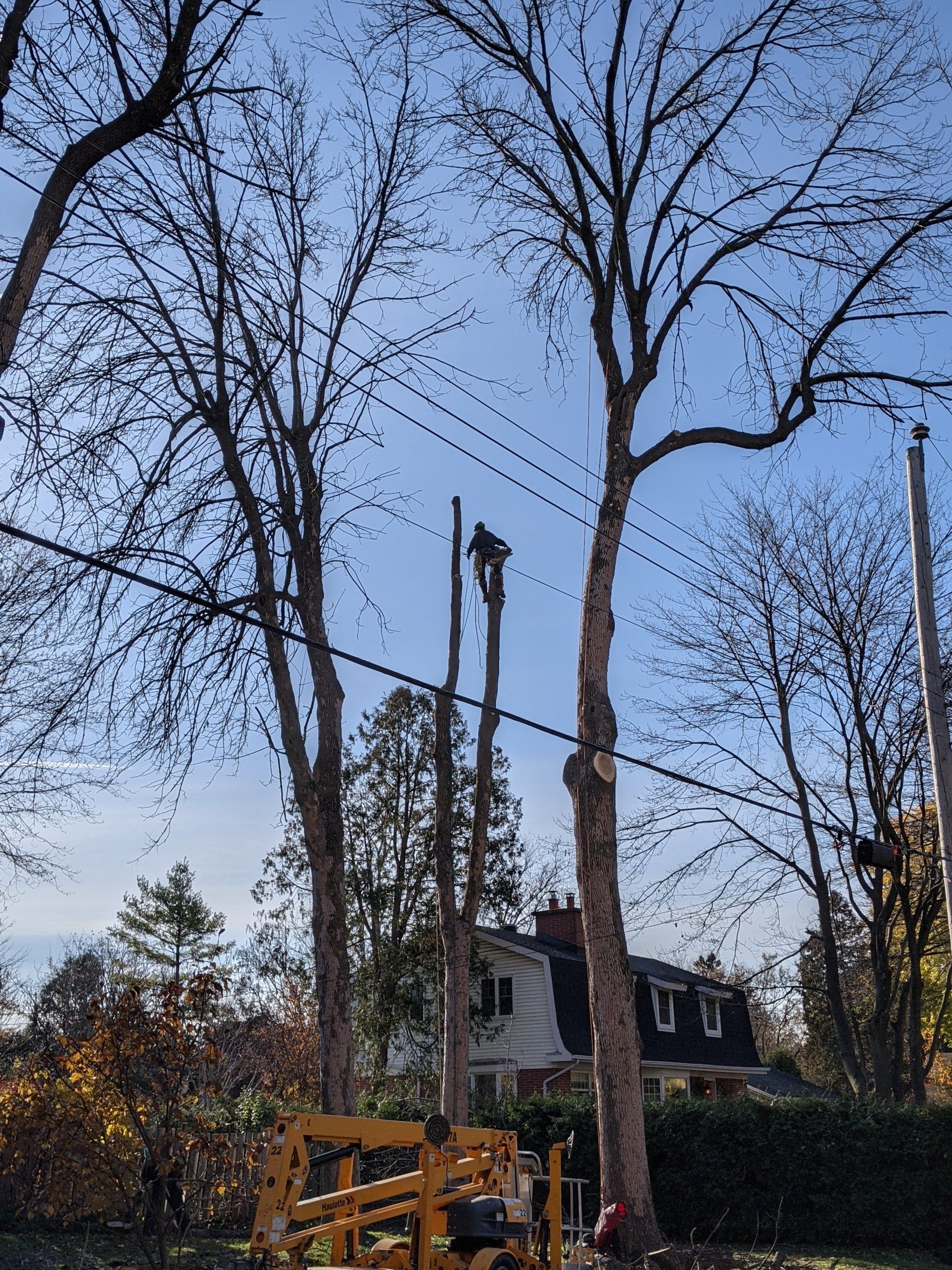 Un arbre est abattu devant une maison