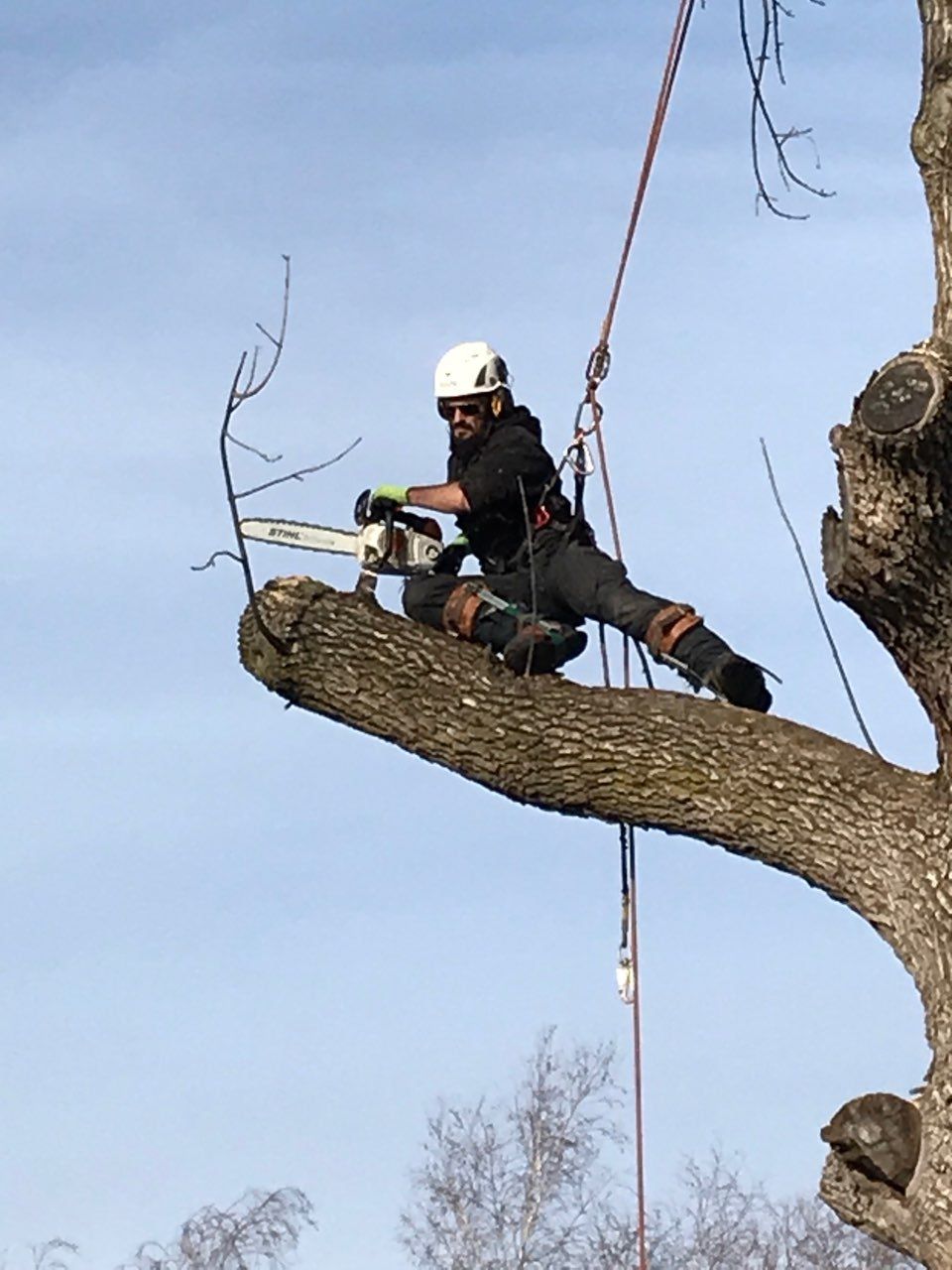 Un homme coupe une branche d'arbre avec une tronçonneuse.
