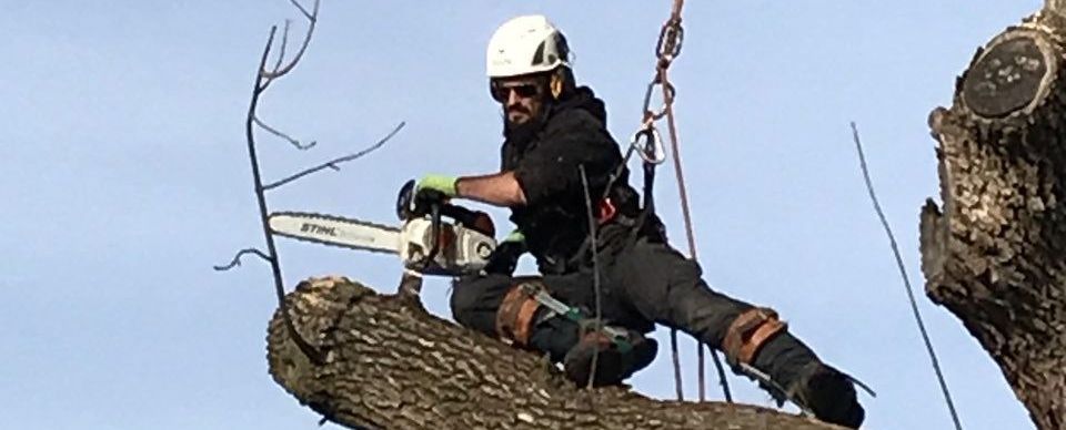Un homme coupe une branche d'arbre avec une tronçonneuse.