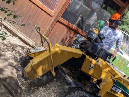 Un homme utilise une machine pour enlever une souche d'arbre.