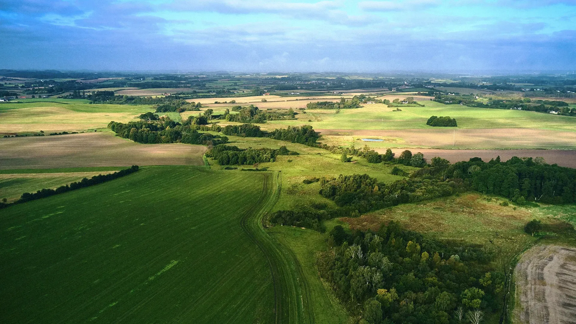 Aerial view of green and brown fields with a line of trees winding through the center under a cloudy sky.