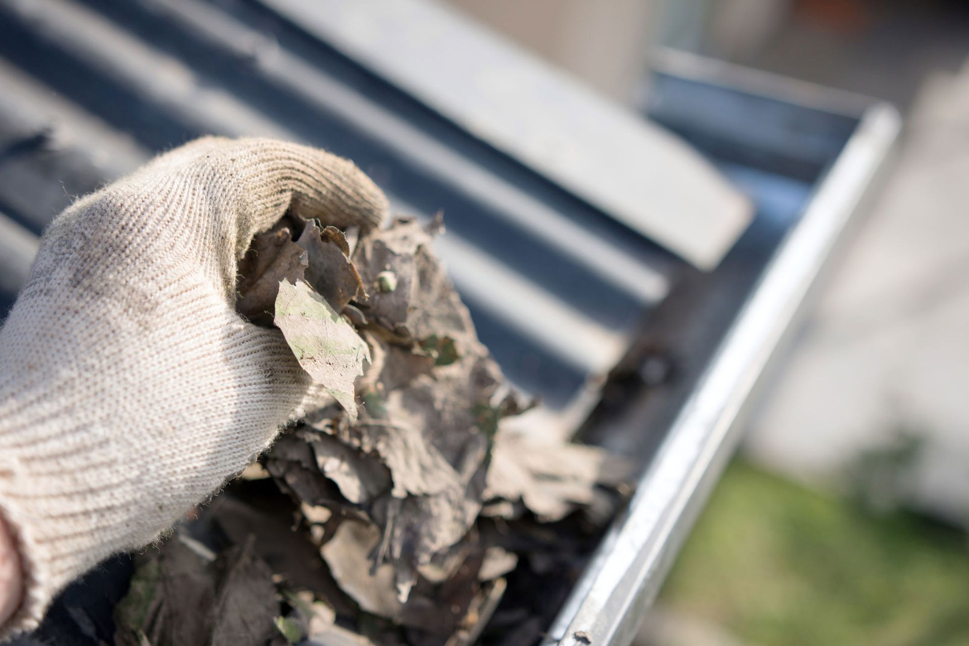 Removing gutter leaves | Carine, WA | Modern Plastics & Pergolas