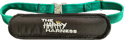 A green harness with a black padded section, bearing the brand name