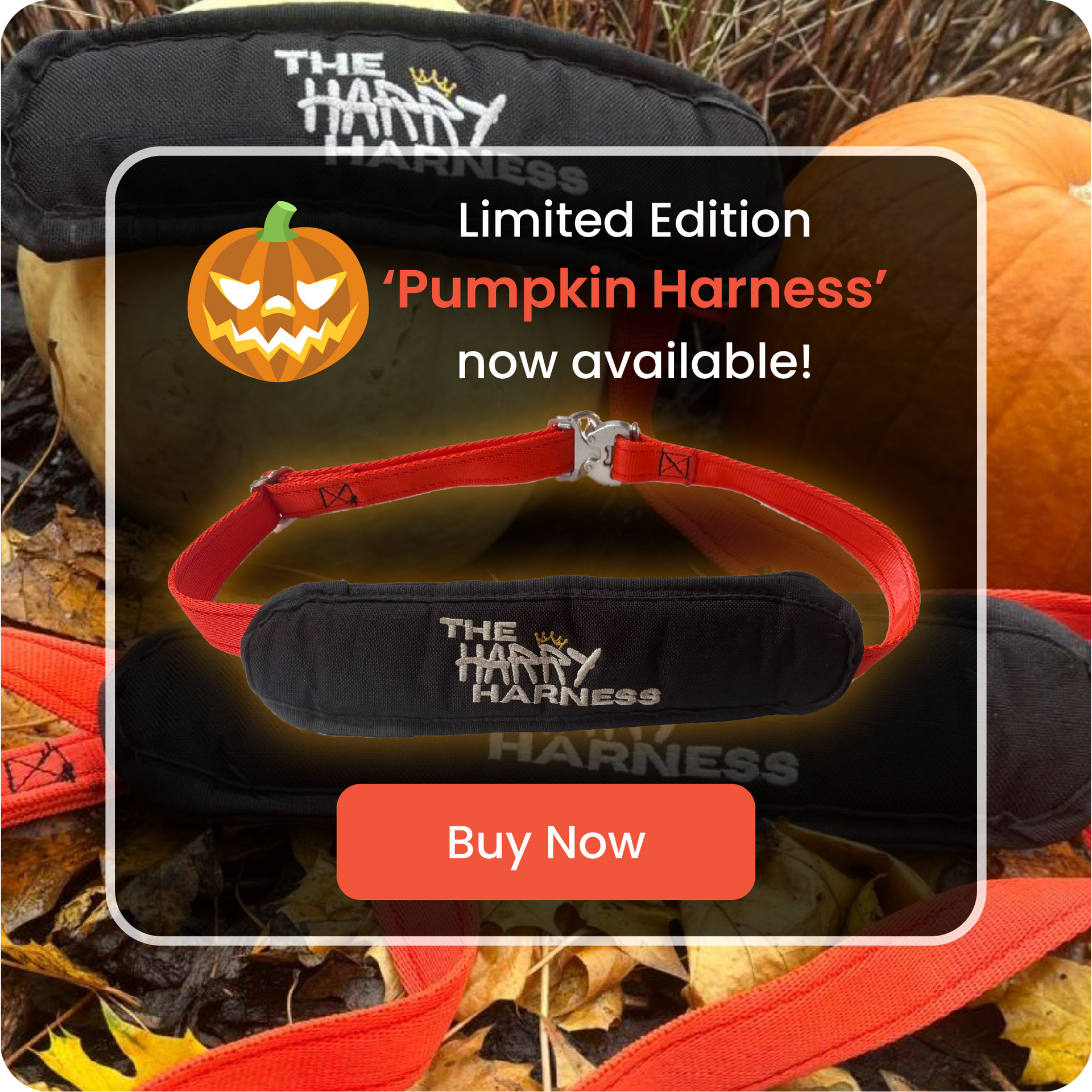 Limited edition