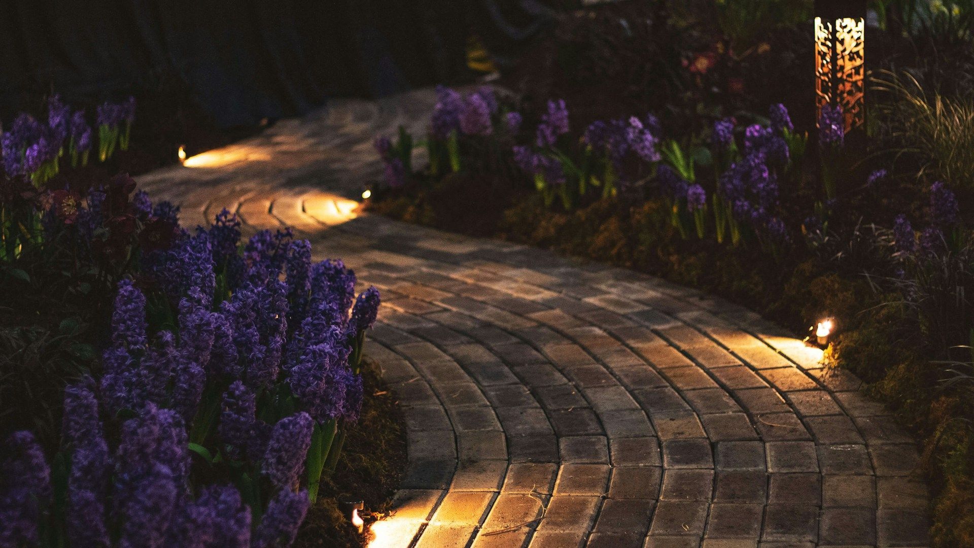 Lighting