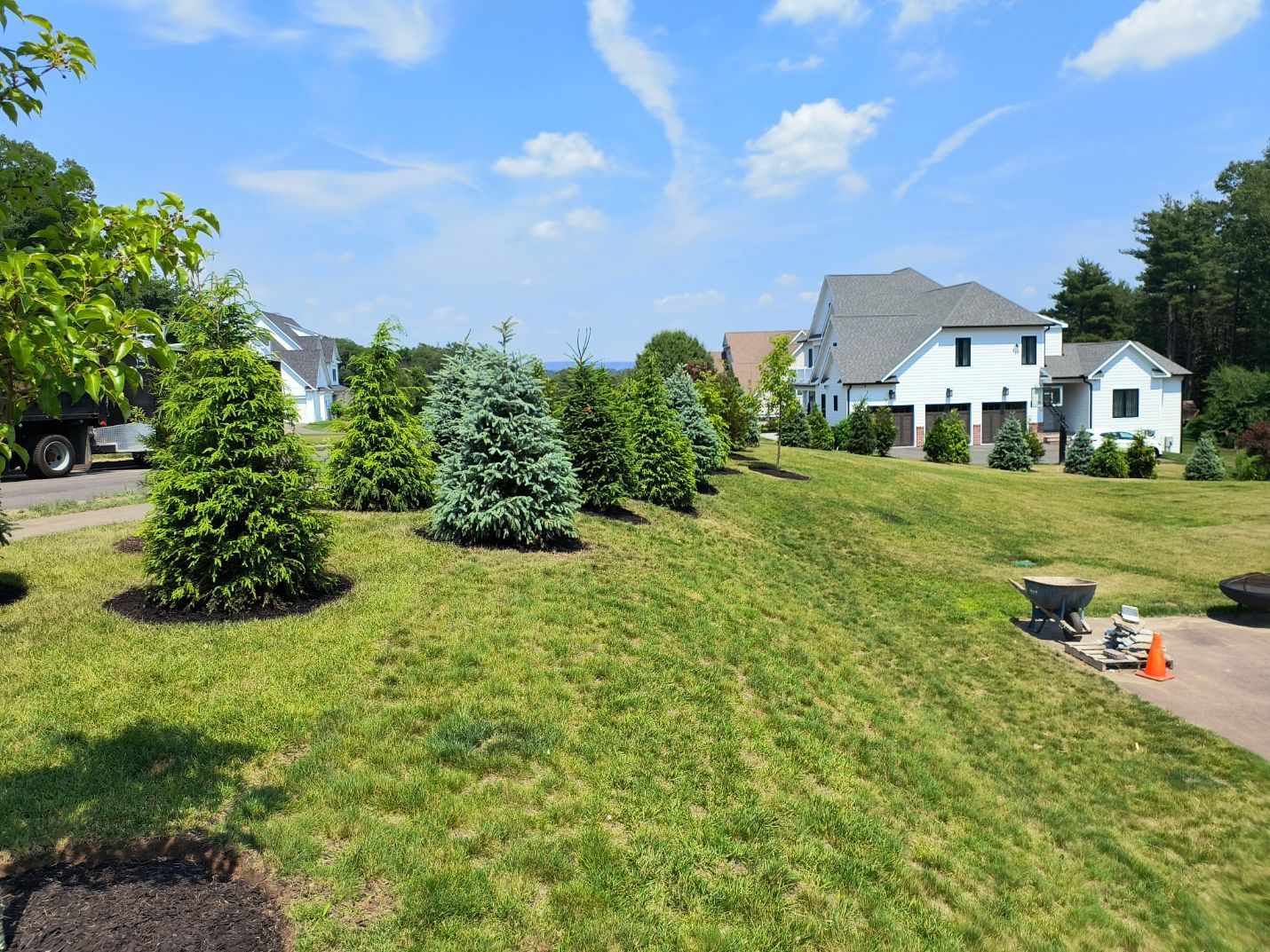 Lush green lawn with evergreen trees and white houses under a blue sky with clouds.